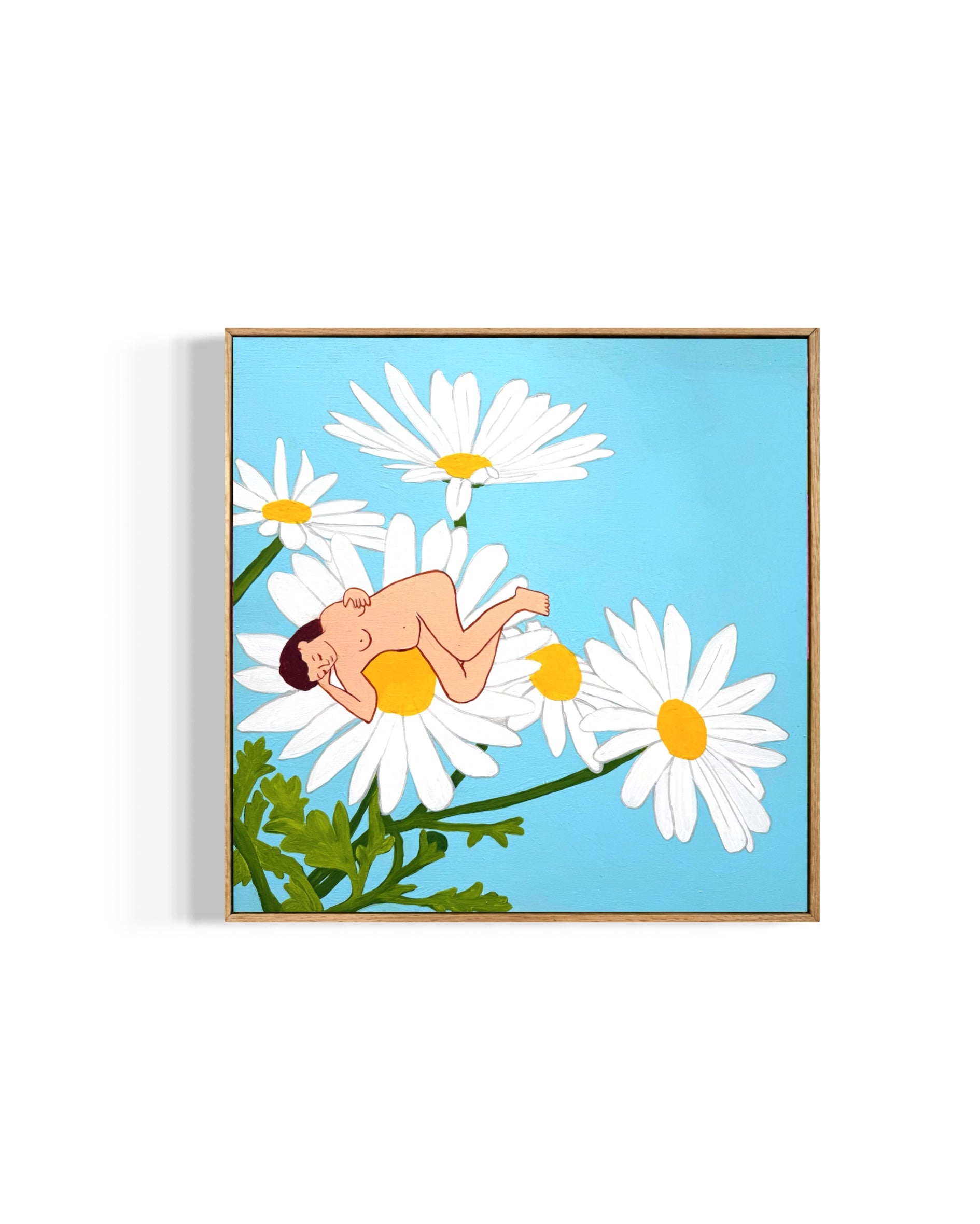 Daisies