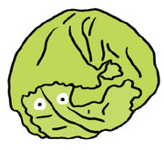 Lil ol Lettuce image 0