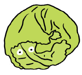 Lil ol Lettuce image 0