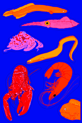 Under the sea image 0