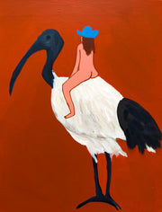 Cheeky Ibis