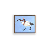 Ibis Outlaws - To be wild and surviving